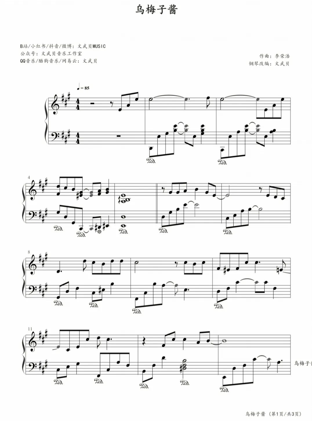 乌梅子酱钢琴谱-李荣浩-钢琴独奏五线谱