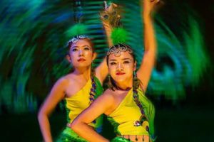 美丽的金孔雀简谱(歌词)-D调旋律简谱