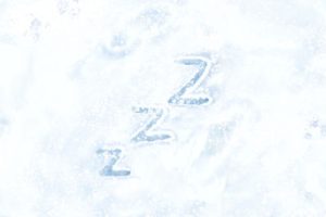 不冬眠吉他谱C调-刘耀文《不冬眠》原版弹唱六线谱