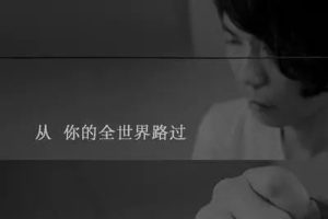 牛年咖啡《从你的全世界路过吉他谱》A调原版图谱