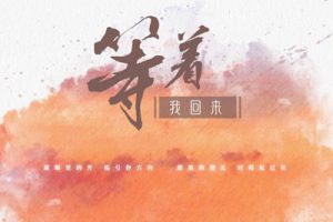 戴羽彤《等着我回来吉他谱》C调原版吉他谱