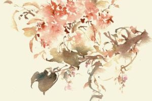 山鬼吉他谱-WINKY诗《山鬼》C调原版弹唱六线谱