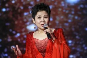 董文华《十五的月亮吉他谱》G调原版