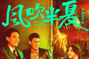 毛不易《风吹半夏吉他谱》C调原版吉他谱