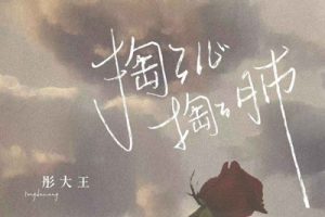 彤大王《掏了心掏了肺吉他谱》G调原版弹唱谱