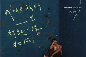 田鸿杰《诗情电影院吉他谱》C调原版弹唱谱