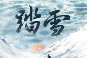 踏雪吉他谱-等什么君/胡天渝《踏雪》C调图片谱-原版弹唱谱