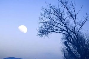 半个月亮爬上来简谱-G调歌曲简谱-三声部合唱