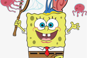 回音哥《海绵宝宝吉他谱》D调原版弹唱谱