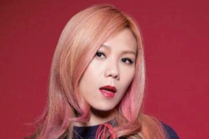 被驯服的象吉他谱C调-蔡健雅-完整弹唱六线谱-含视频教学