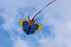 风筝简谱-陈信喆/赵圆瑗-F调歌曲简谱