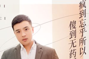 疯到忘乎所以傻到无药可治简谱-崔伟立-F调歌曲简谱