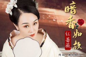 暗香如故简谱-红蔷薇-C调歌曲简谱