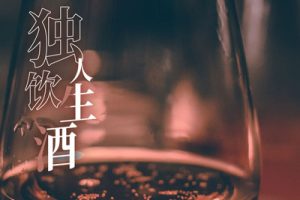 独饮人生酒简谱(歌词)-王超然-F调歌曲简谱