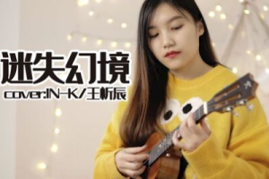 王忻辰《迷失幻境吉他谱》G调原版弹唱谱