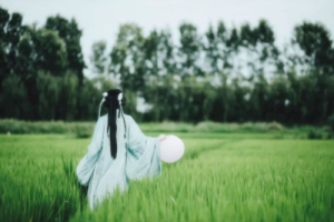 星月落吉他谱-浮生梦《星月落》C调图片谱-原版弹唱谱