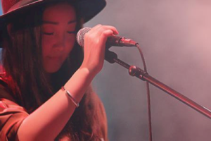 叶里《人间惊鸿客吉他谱》C调弹唱六线谱