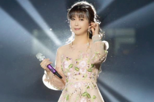 风中有朵雨做的云吉他谱C调-孟庭苇-原版弹唱谱-附演示教学