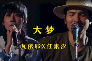 大梦吉他谱-瓦伊那/任素汐-C调-原版弹唱图谱