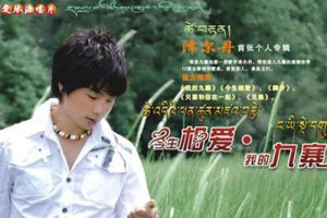 我的九寨简谱-泽尔丹-A调歌曲简谱