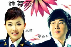 雏菊花简谱-廖昌永/王莉-F调歌曲简谱