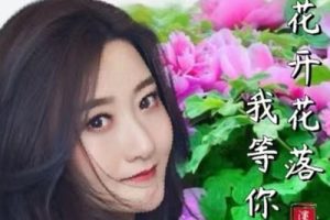 花开花落我等你简谱-云菲菲-C调歌曲简谱