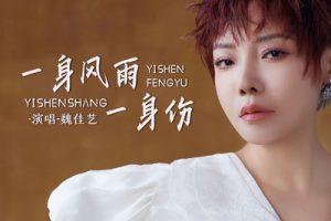 一身风雨一身伤简谱-魏佳艺-C调原版简谱