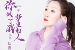 你做了我梦里的人简谱-红蔷薇-D调原版编配