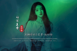 我期待的不是雪吉他谱-张妙格-G调原版六线谱-高清图谱