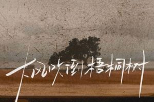 大风吹倒梧桐树简谱-侯润泽-B调原版编配