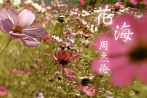 花海尤克里里谱-周杰伦-C调弹唱谱