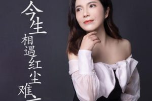 红尘相遇今生难忘简谱-蒋婴-G调原版编配