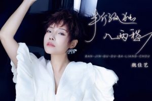 半斤孤独八两愁简谱-魏佳艺-D调原版编配