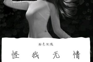 怪我无情简谱-博夫曲谱-E调原版编配