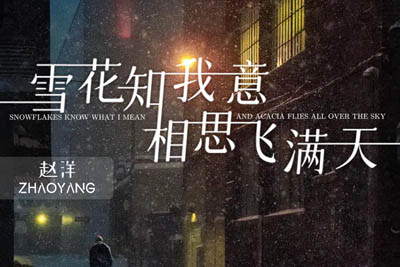 雪花知我意相思飞满天简谱-赵洋-原调编配版 雪花知我意相思飞满天简谱-赵洋-原调编配版