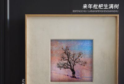 来年枇杷生满树简谱-侯泽润-原调编配版 来年枇杷生满树简谱-侯泽润-原调编配版